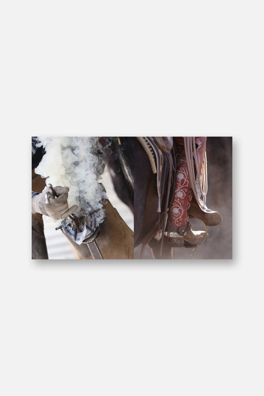 Horse Country Coffee Table Book – flat lay