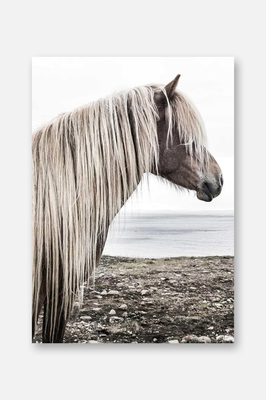 Horse Country Coffee Table Book – side view