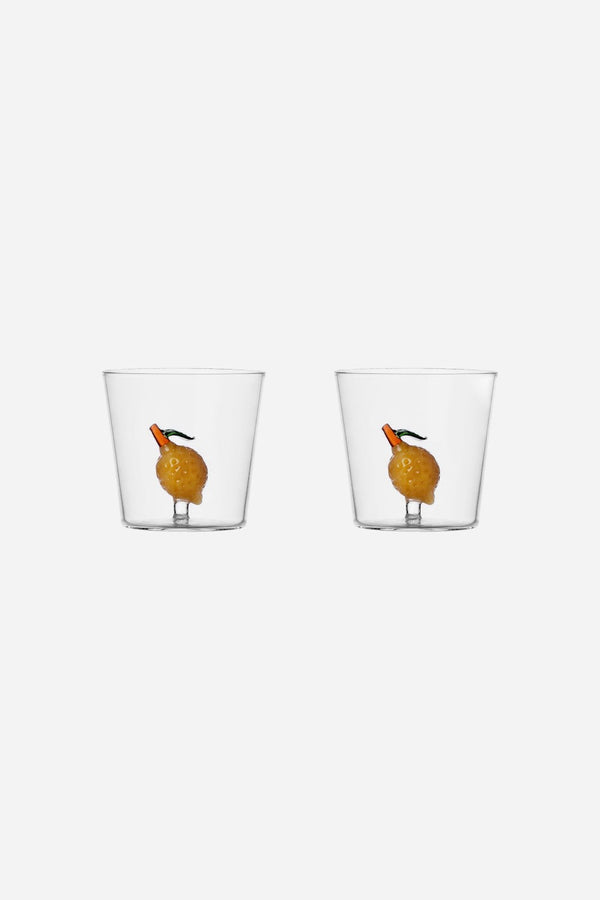 Ichendorf Lemon Tumblers Set of 2
