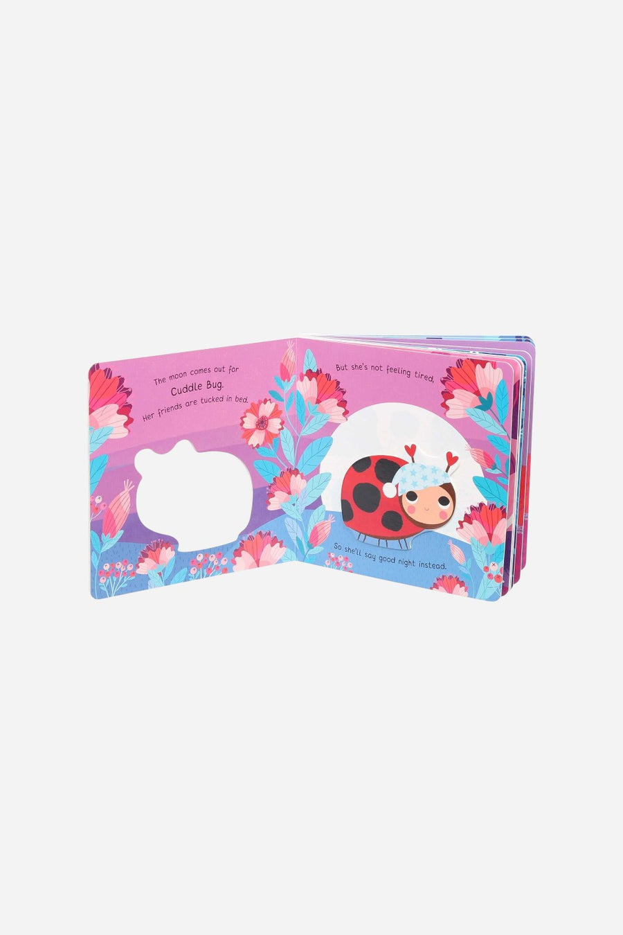 Night Night, My Little Cuddle Bug: Board Book