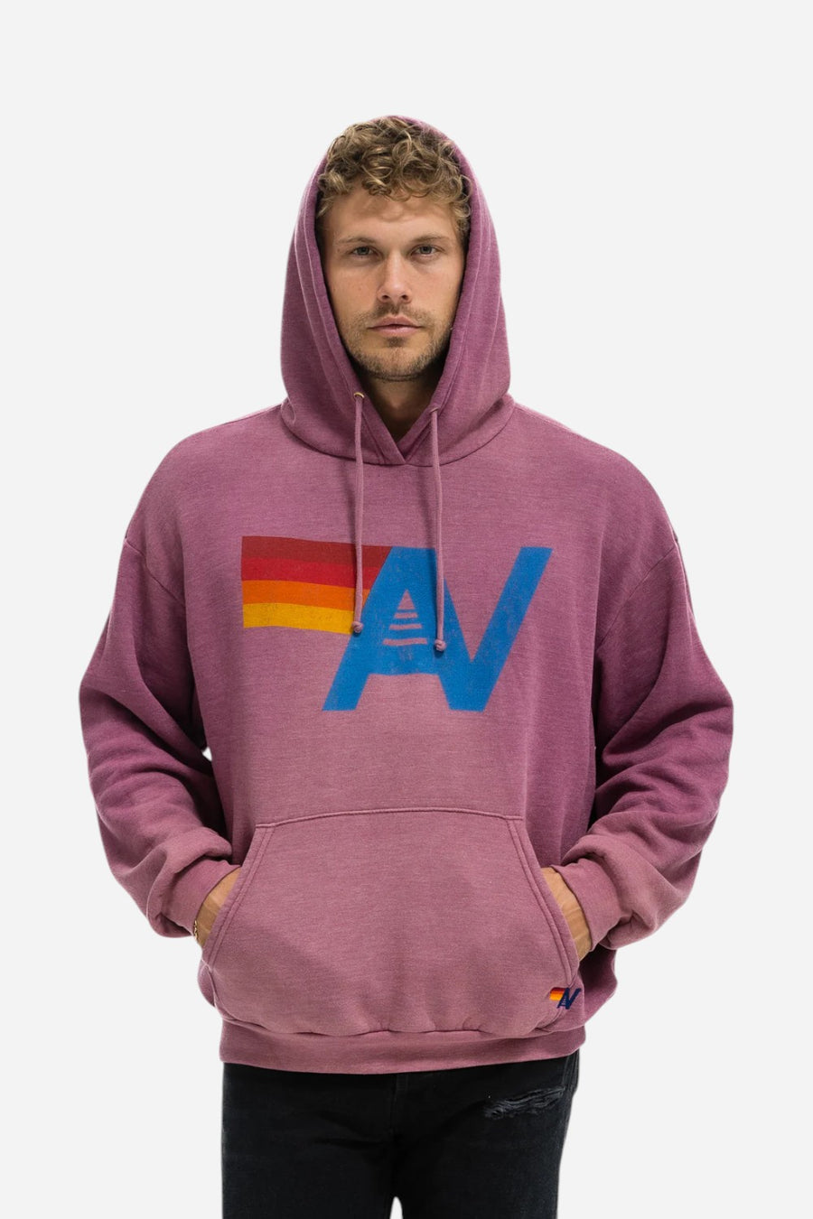 Aviator Nation Vintage Logo Relaxed Pullover Hoodie in Faded Berry