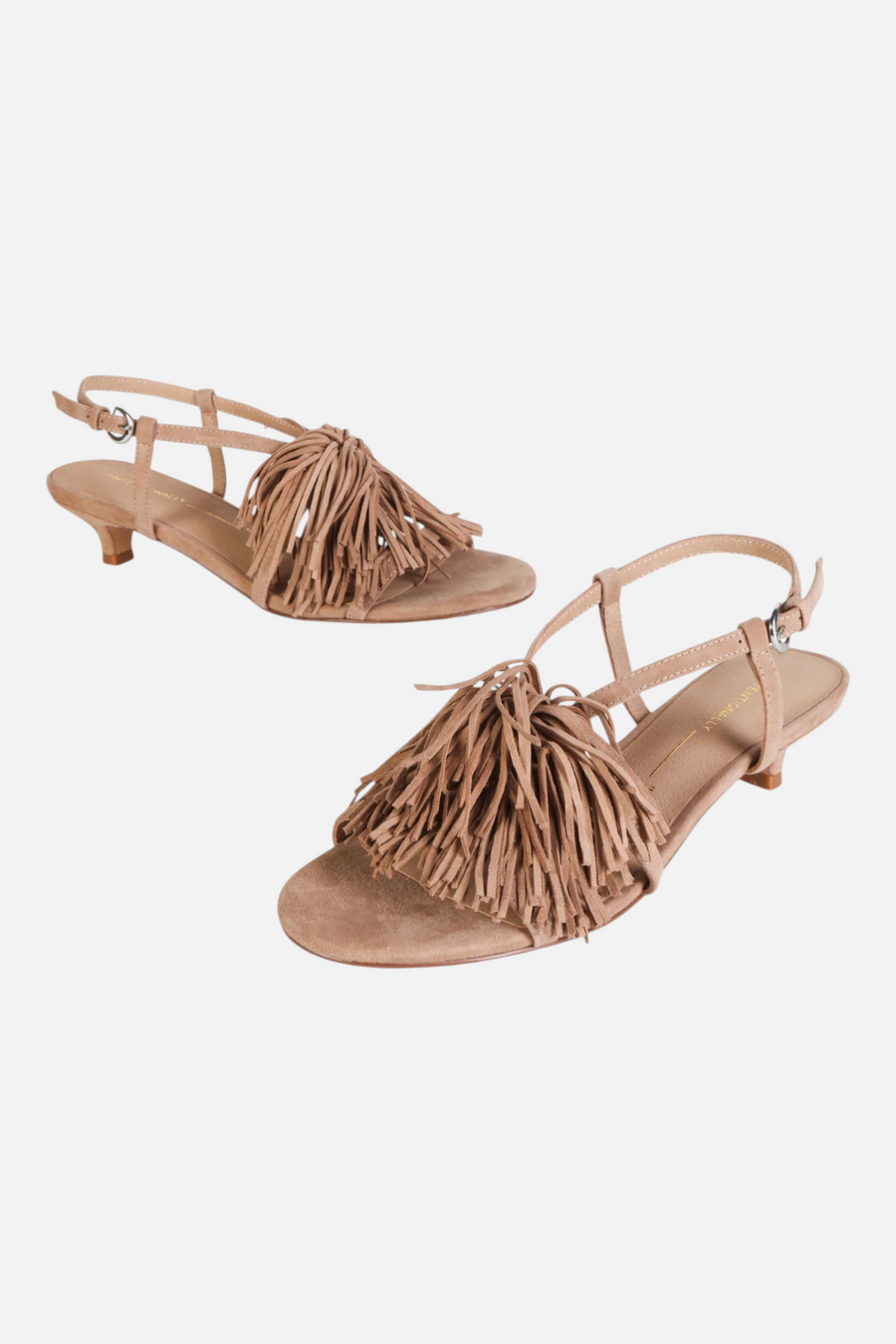 Intentionally Blank Chaperone Fringe Kitten Heel in Taupe – back view