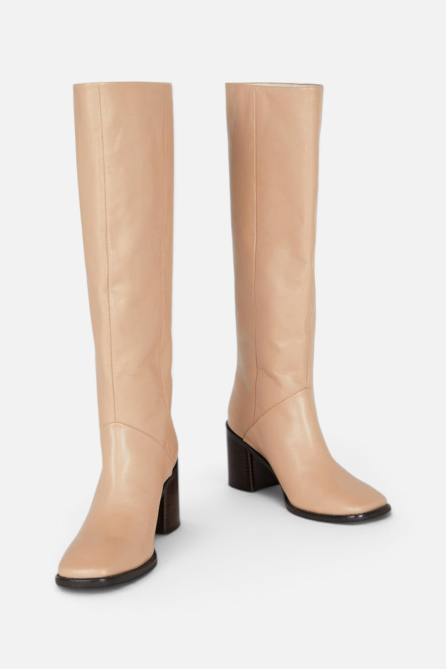 Intentionally Blank Coucou Tall Heeled Boot in Clay – back view