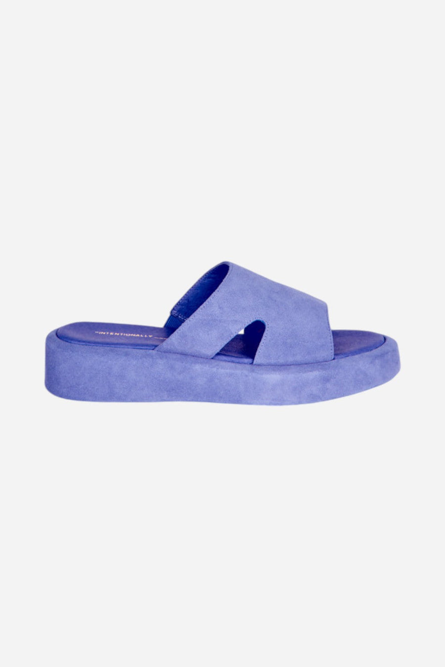 Intentionally Blank Ina Platform Sandal in Periwinkle – front view