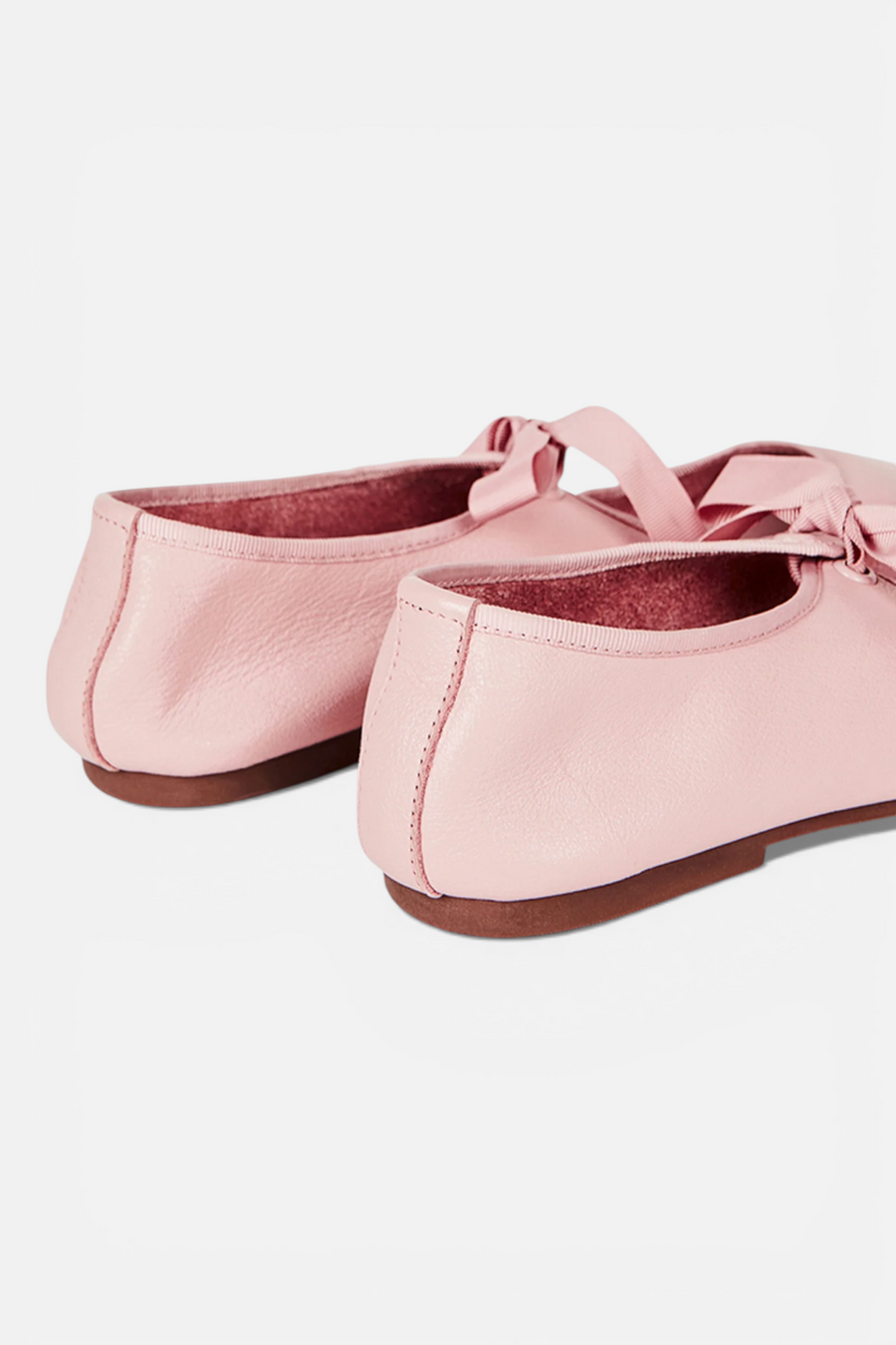 Intentionally Blank Valley Ballet in Blush – detail