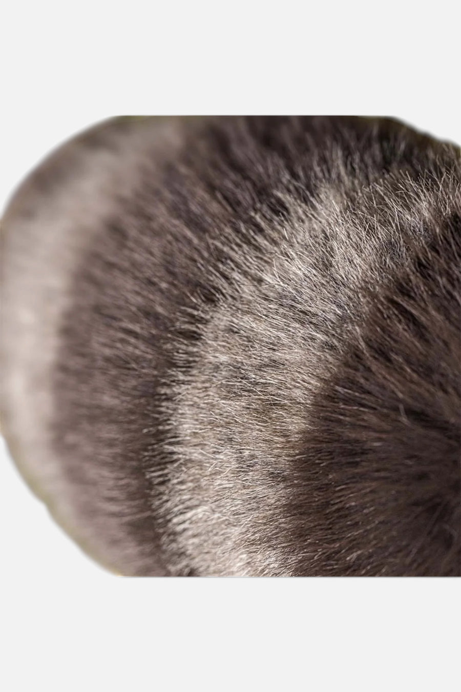 Jellycat Trixiwoo Racoon Plush Toy – back view