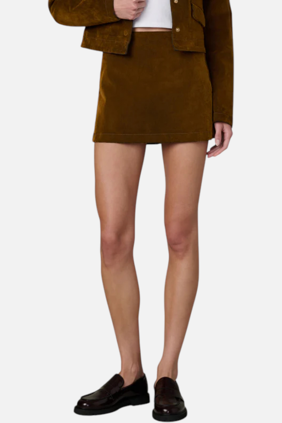 Joes Jeans The Mini Skirt in Flocked Bronze – back view