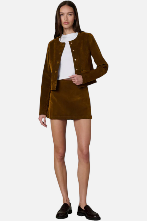 Joes Jeans The Mini Skirt in Flocked Bronze