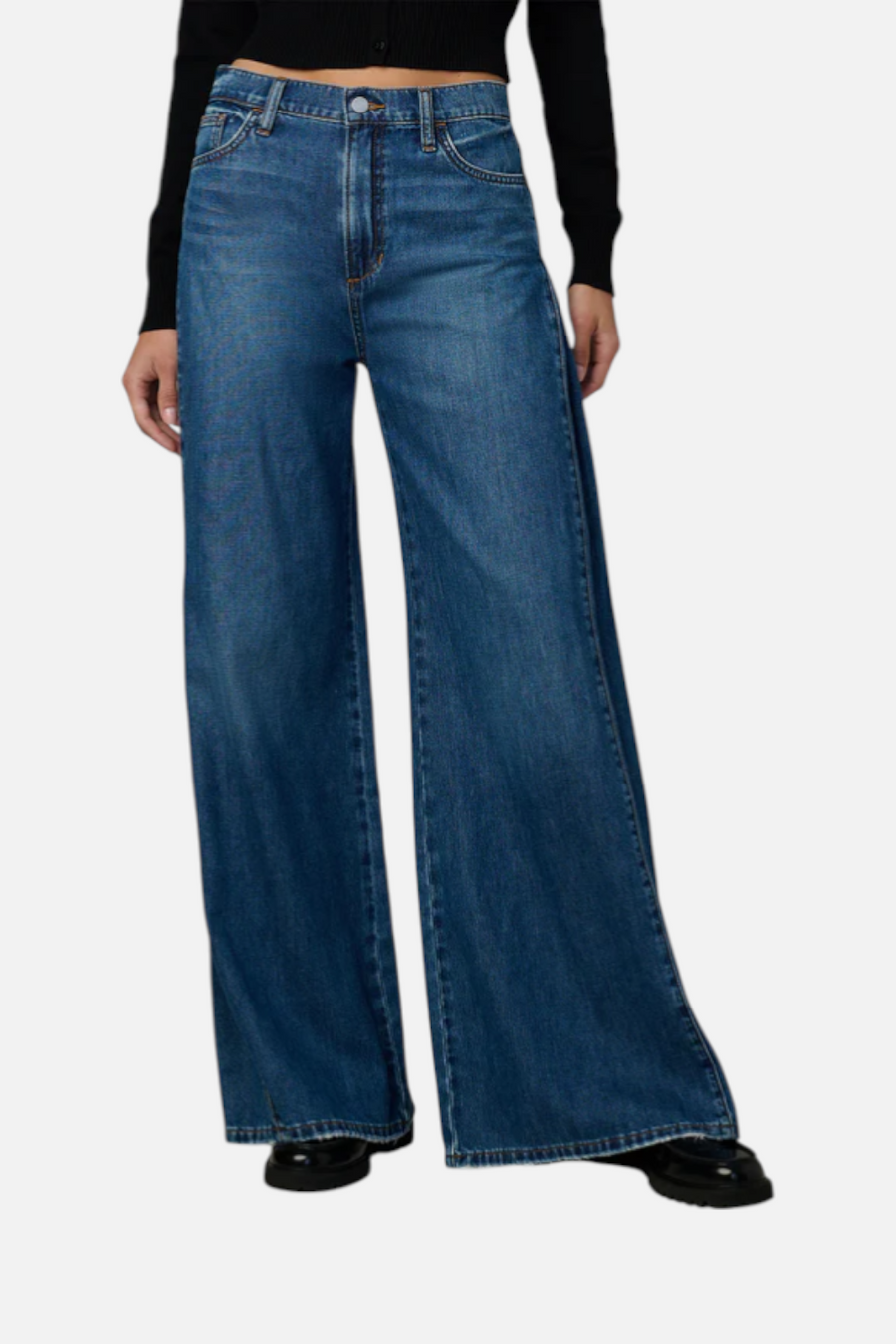 Joes Jeans Women's The Side Pleat Jean in Cherished – back view