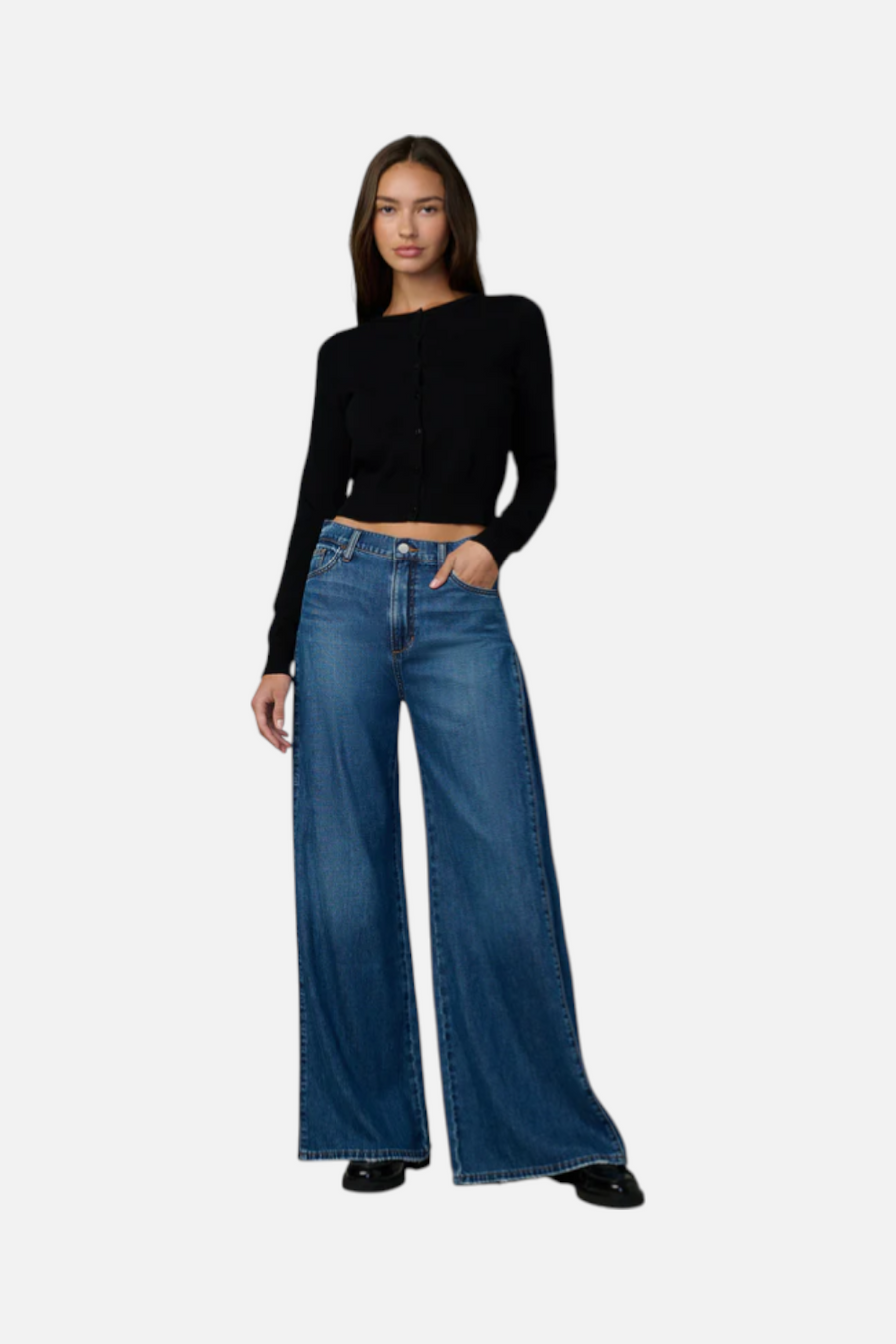 Joes Jeans Women's The Side Pleat Jean in Cherished – front view