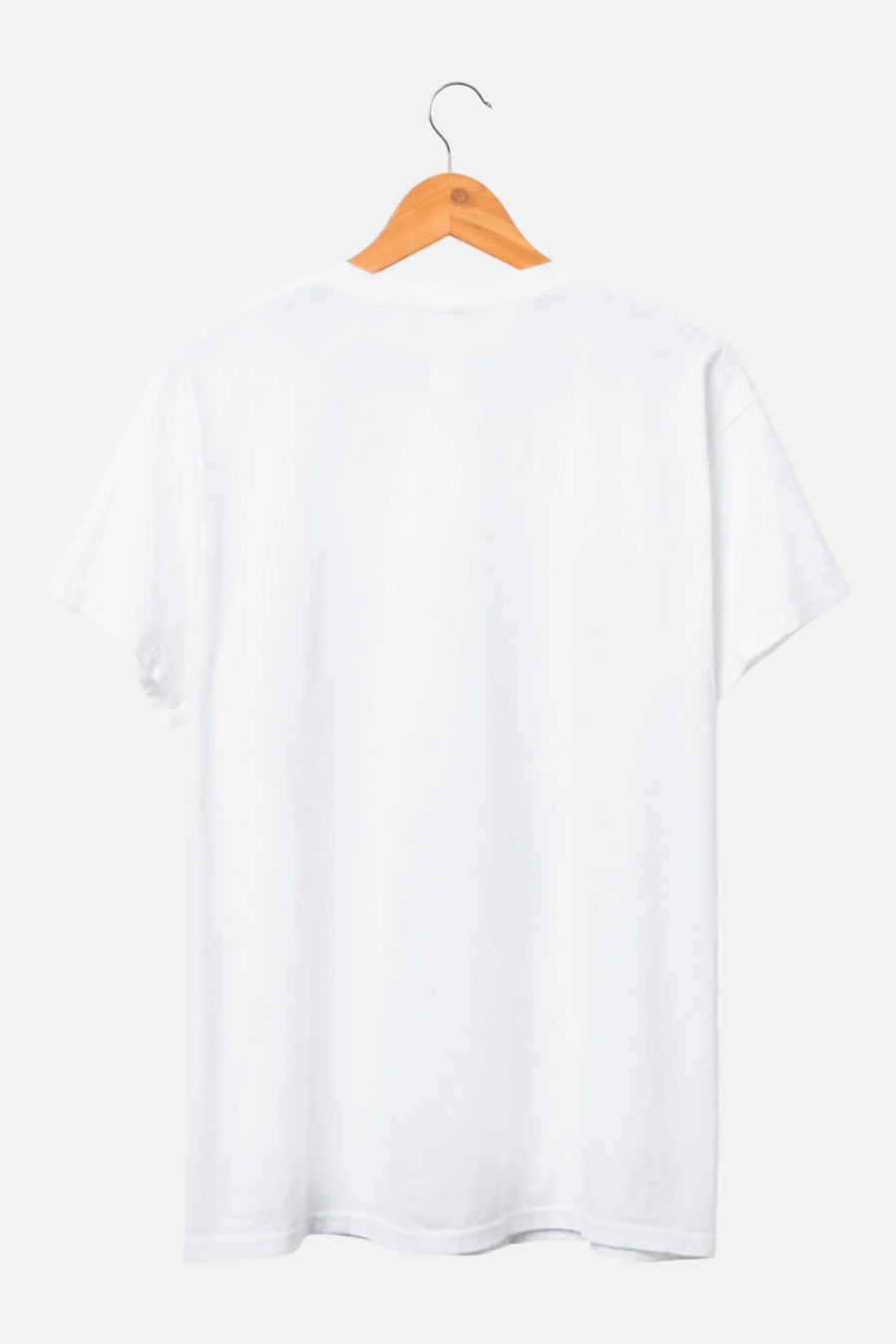 Junk Food Lynyrd Skynyrd Free Bird Tee in White – back view