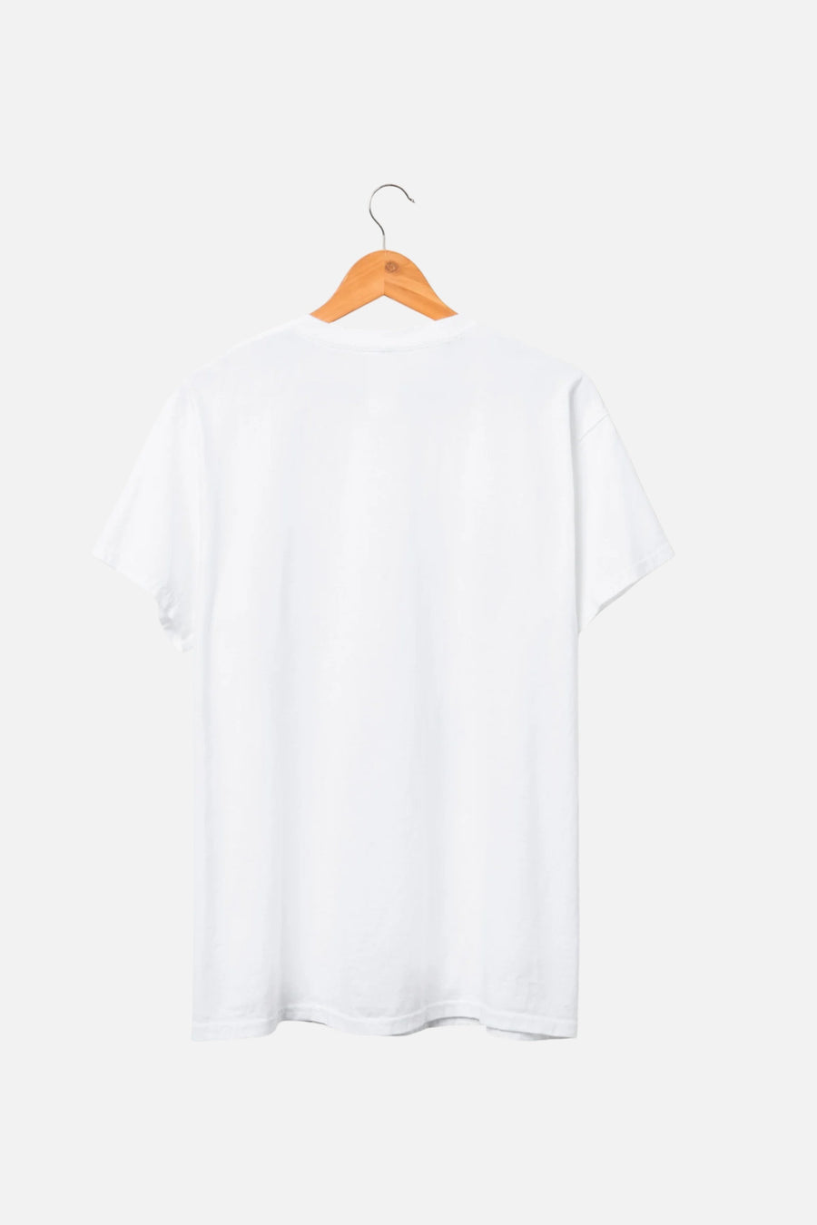 Junk Food Lynyrd Skynyrd Free Bird Tee in White – back view