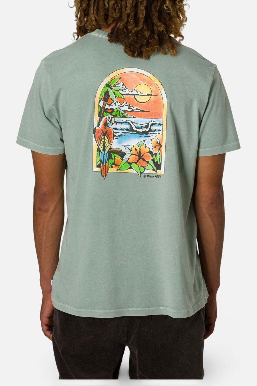 Katin Salvador Tee in Aloe – on model