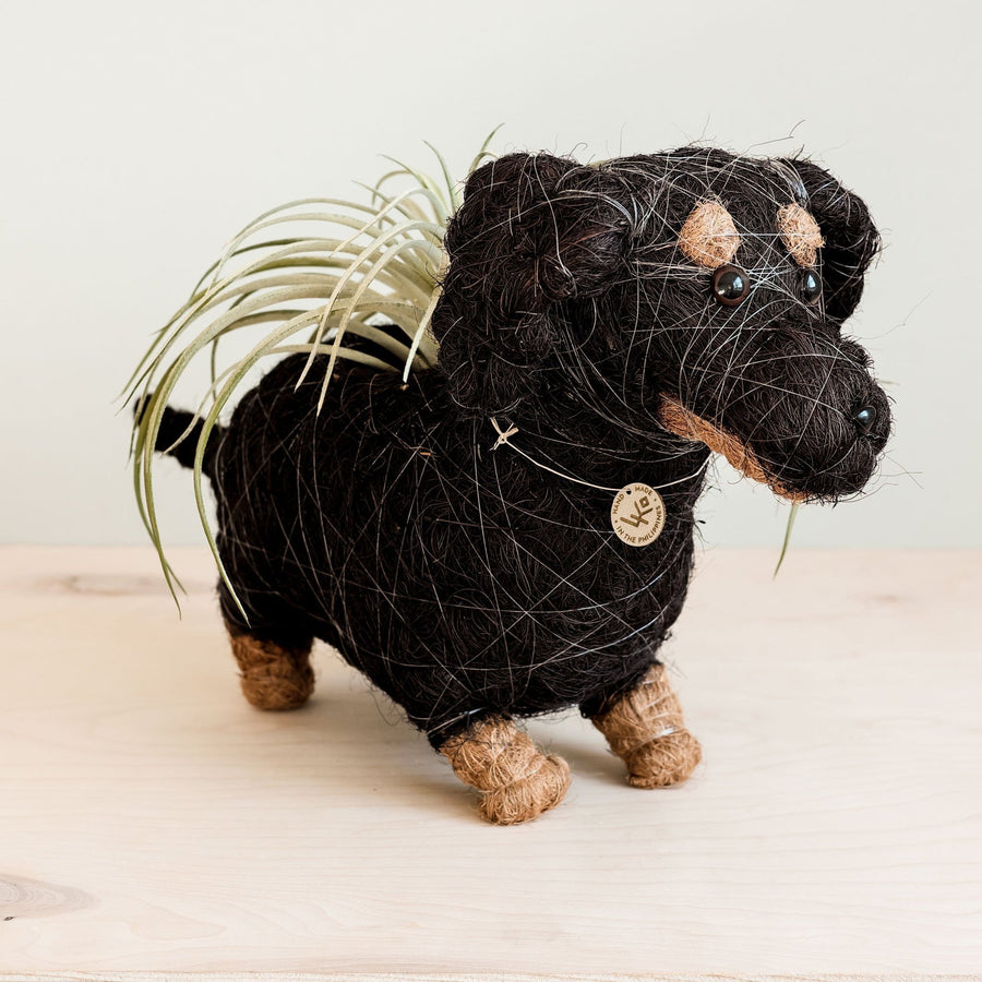 Likha Coco Coir Pots Dachshund Dog Planter – back view