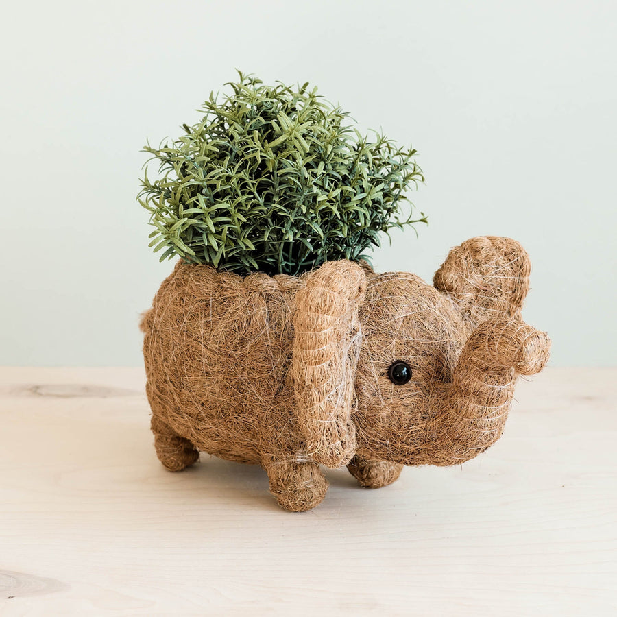Likha Coco Coir Pots Elephant Plant Pot – back view