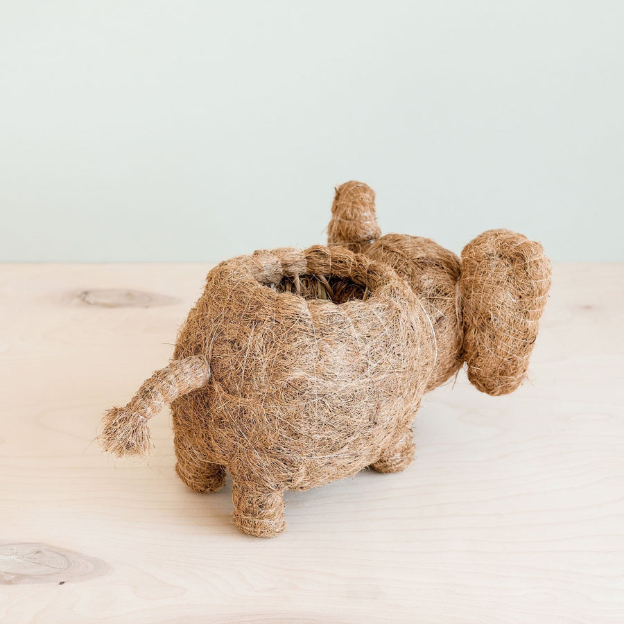 Likha Coco Coir Pots Elephant Plant Pot – detail