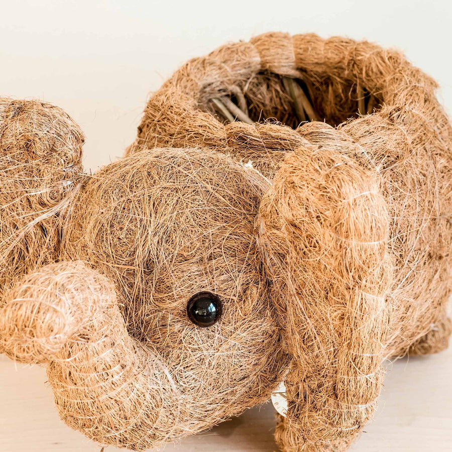 Likha Coco Coir Pots Elephant Plant Pot – side view