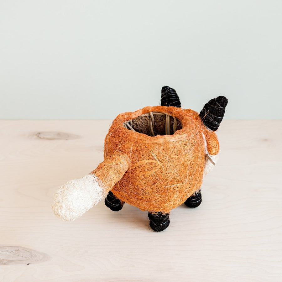Likha Coco Coir Pots Fox Planter – detail