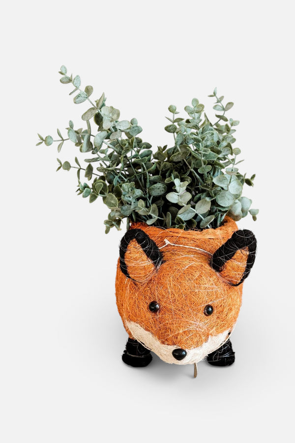 Likha Coco Coir Pots Fox Planter