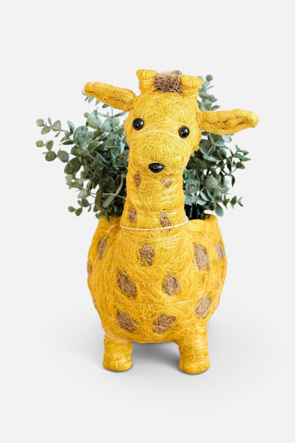 Likha Coco Coir Pots Giraffe Planter
