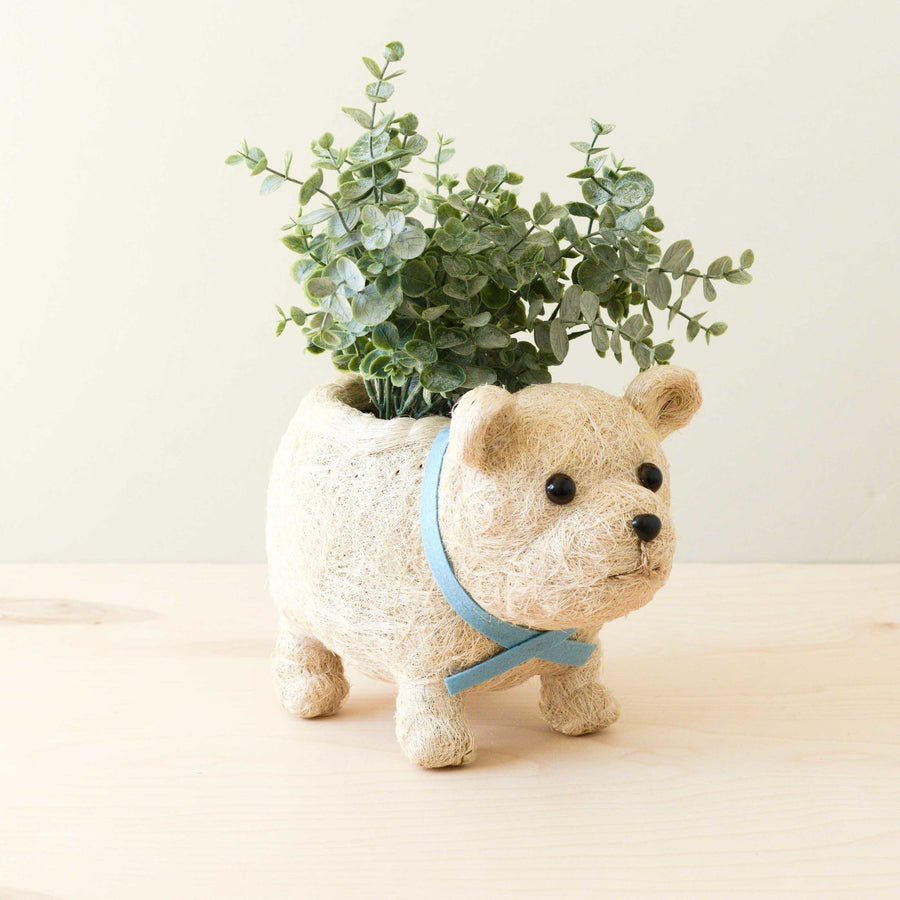 Likha Coco Coir Pots Polar Bear Planter – back view