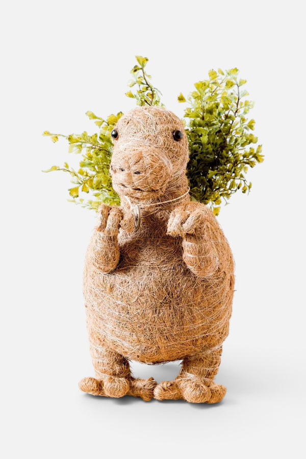 Likha Coco Coir Pots T-Rex Planter
