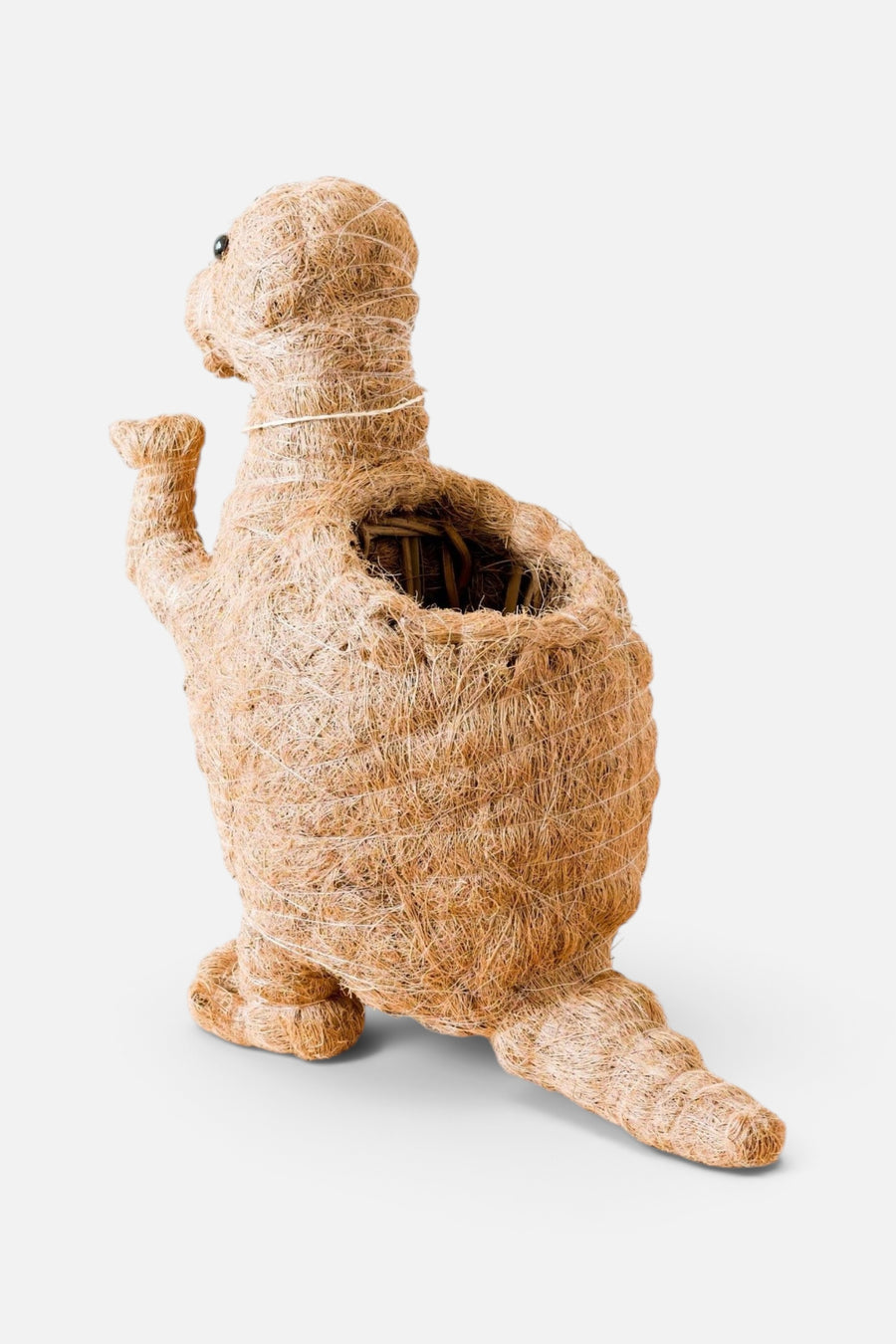 Likha Coco Coir Pots T-Rex Planter – side view