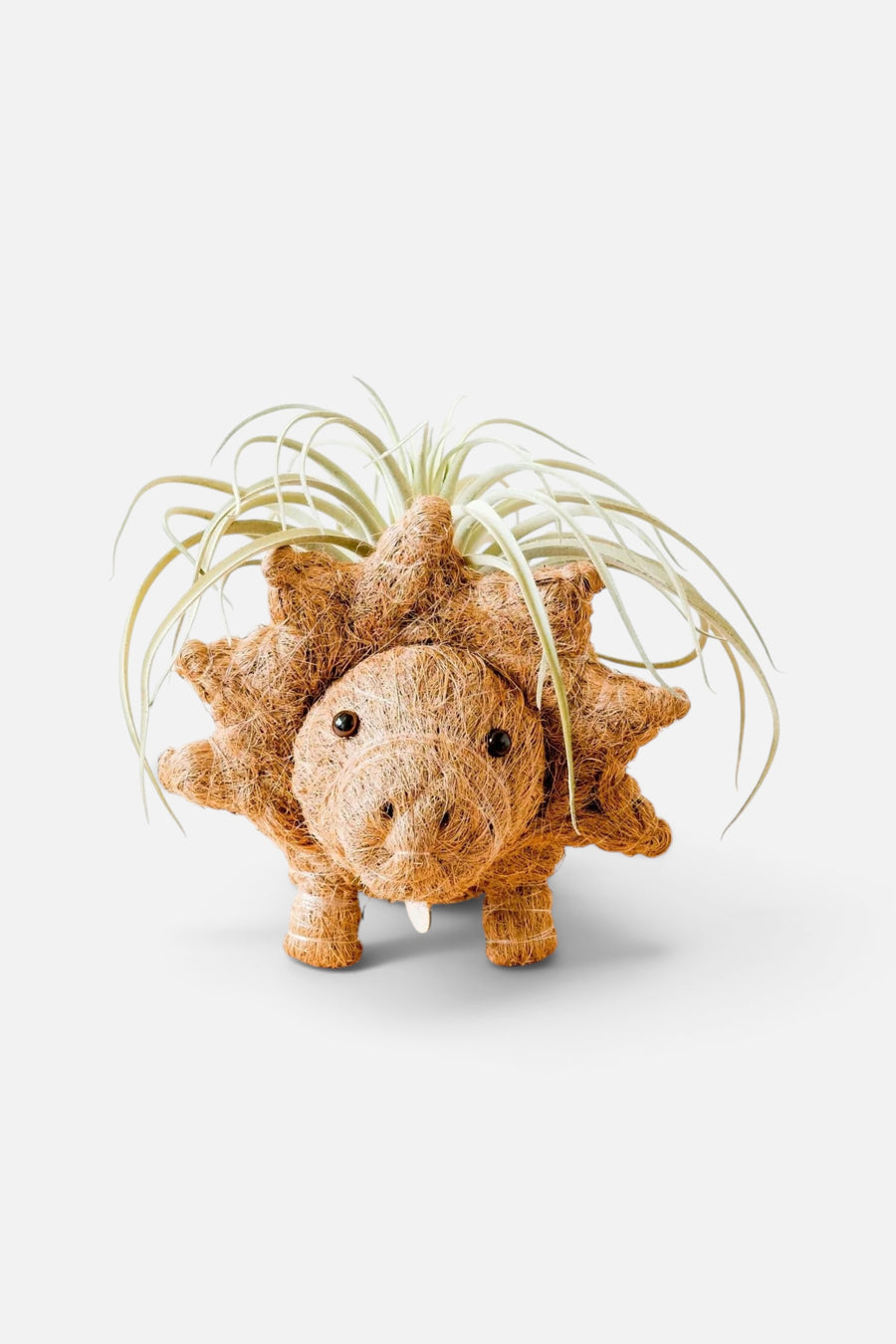 Likha Coco Coir Pots Triceratops Planter – front view