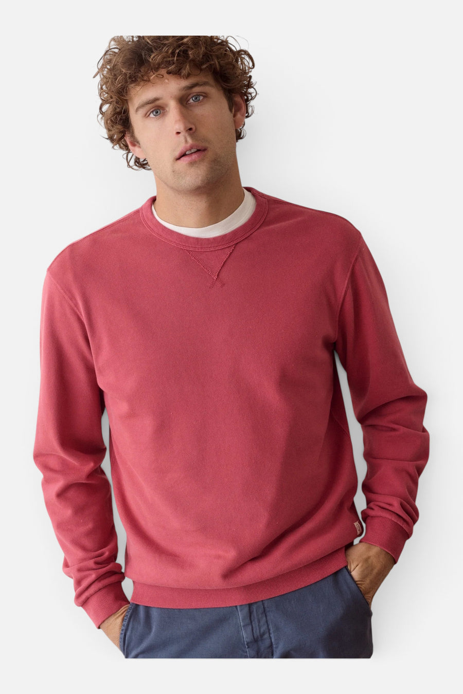 Marine Layer Cloud 9 Terry Relaxed Crewneck in Garnet Rose – back view