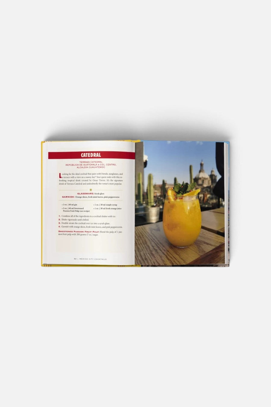 Mexico City Cocktails: Over 100 Recipes Inspired by the City of Palaces – alternate