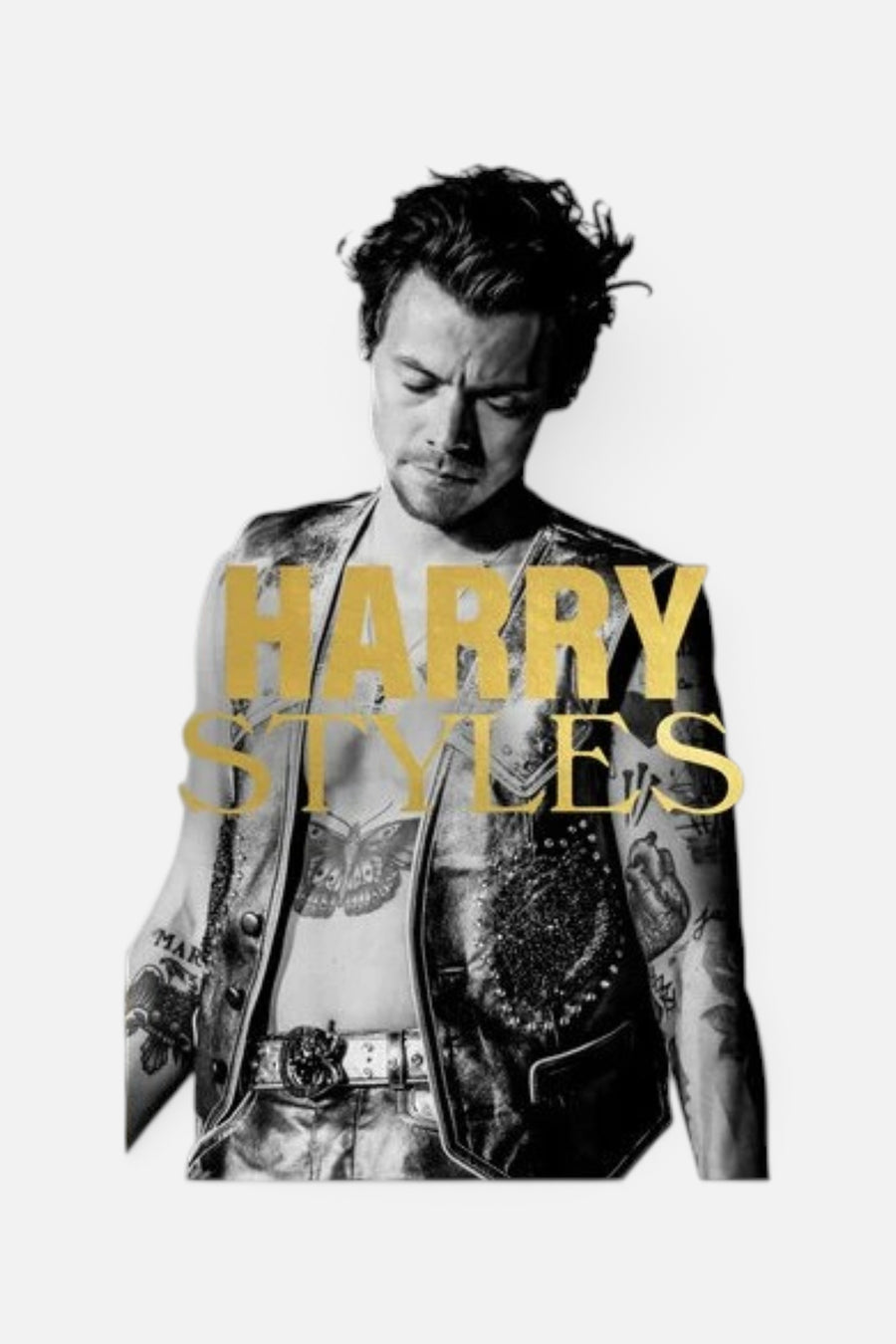 Mini Harry Styles Book – front view