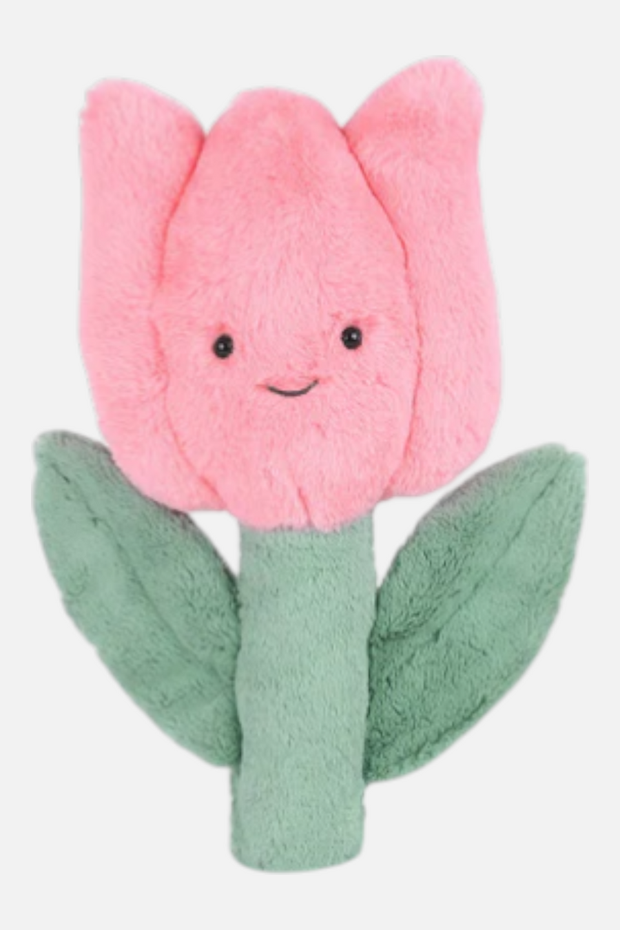 Mon Ami Tulip Roly Poly – front view