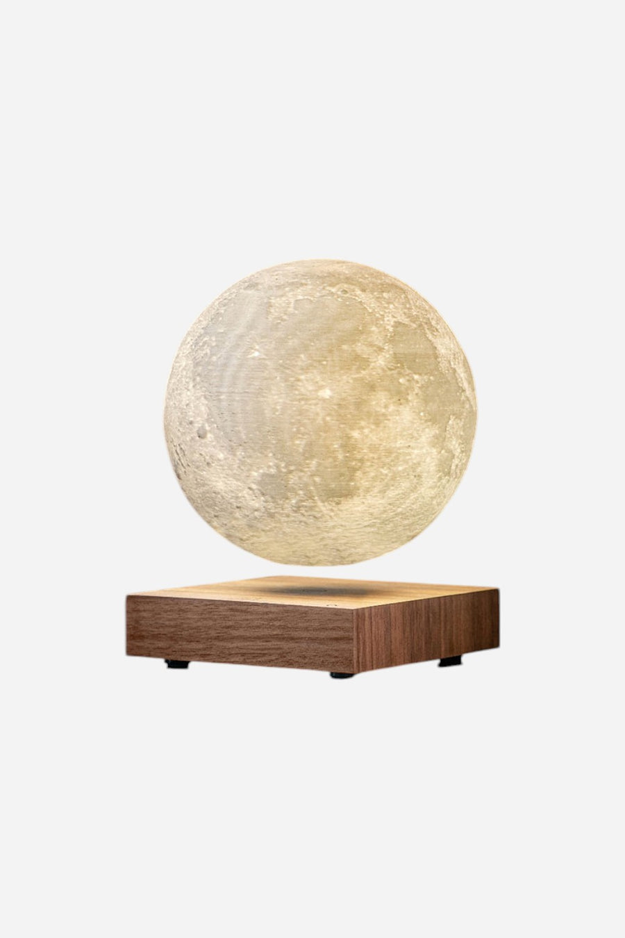Gingko Smart Moon Lamp In Walnut