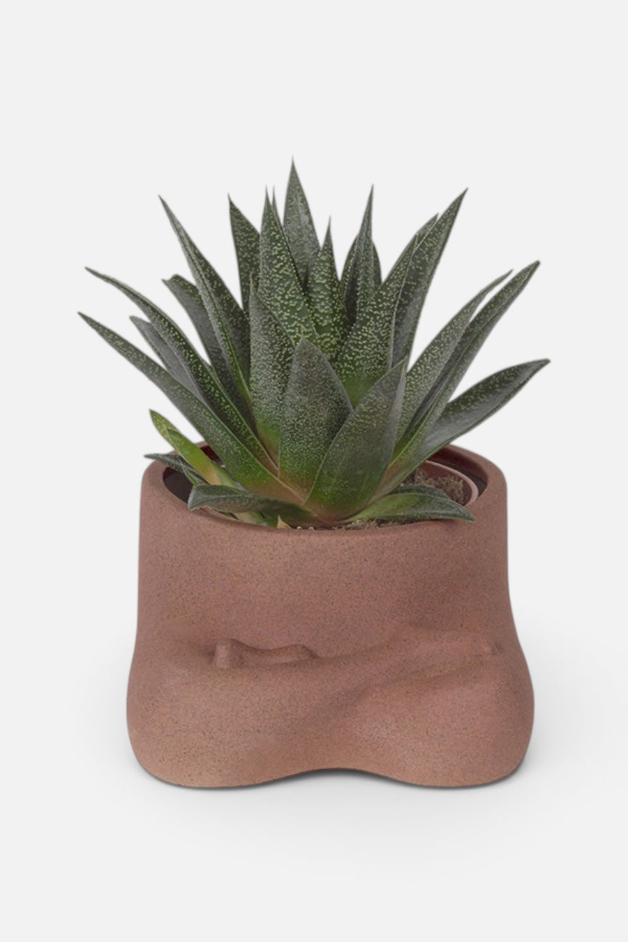 Namaste Planter – back view