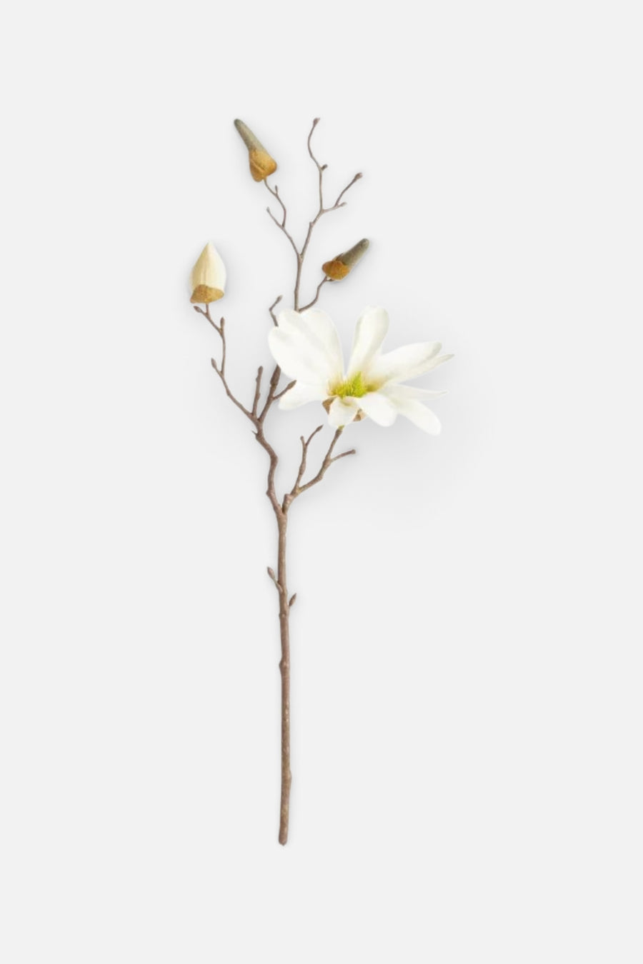 Nappa Home & Garden Star Magnolia Stems 18" – front view