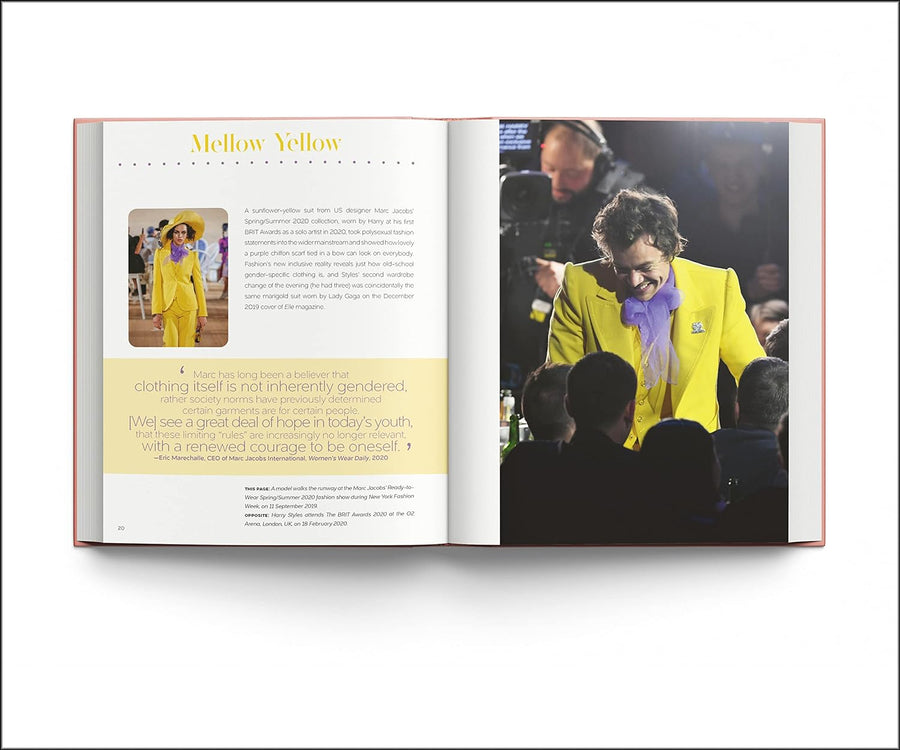 National Book Network Harry Styles: And the Clothes he Wears – back view