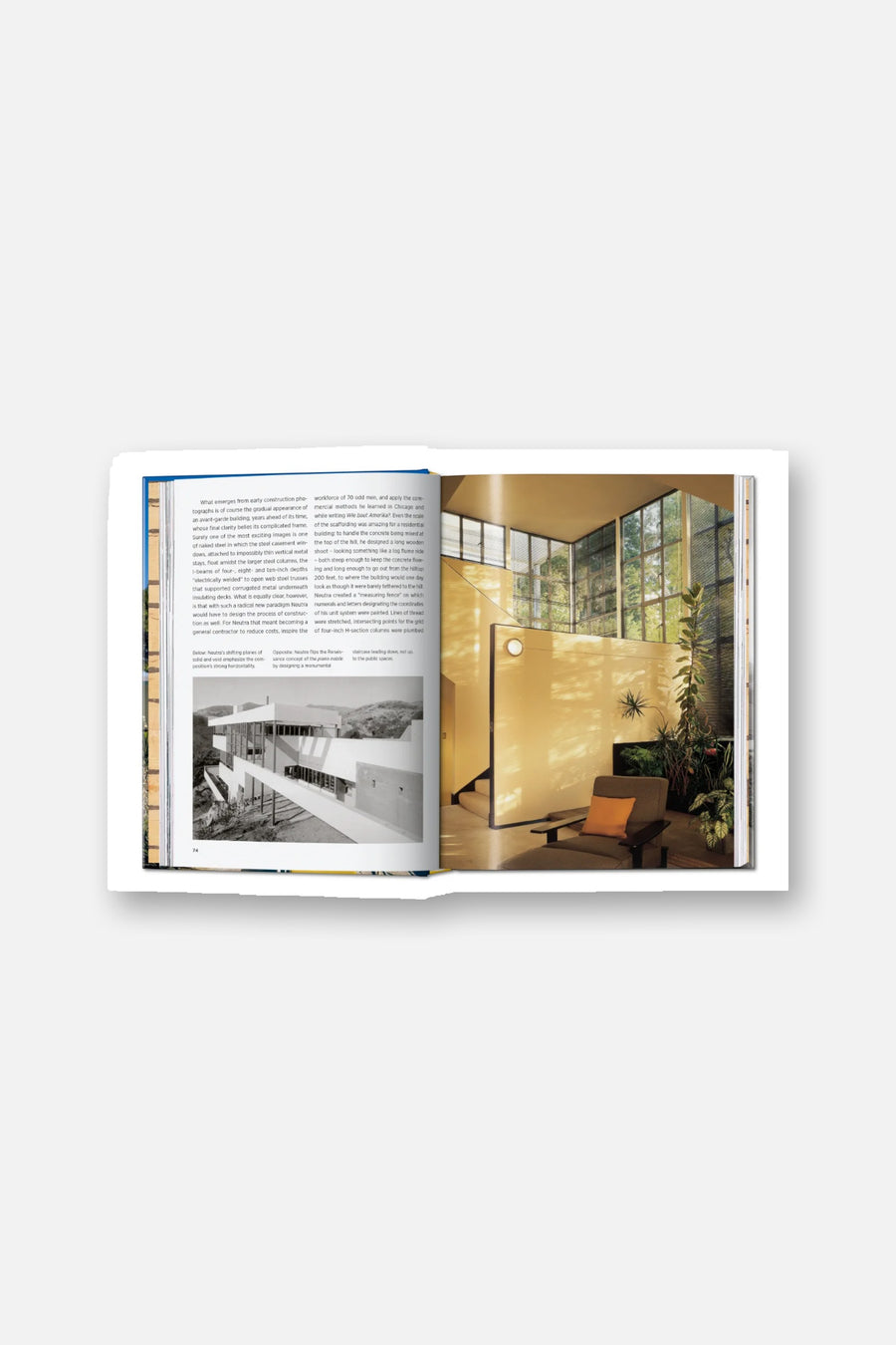 Neutra Book 45th Edition – alternate