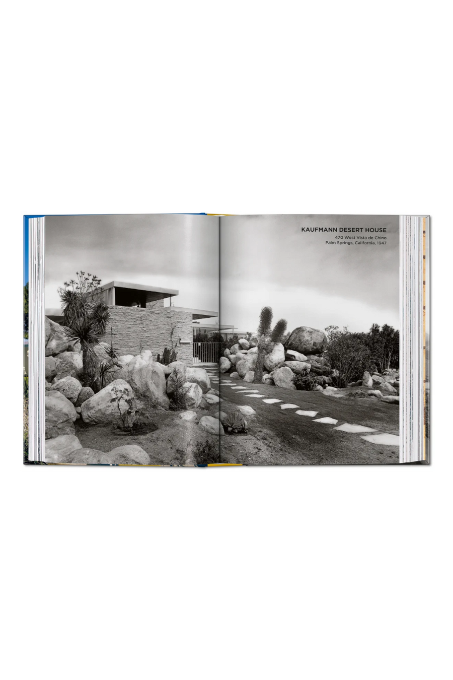 Neutra Book 45th Edition – alternate