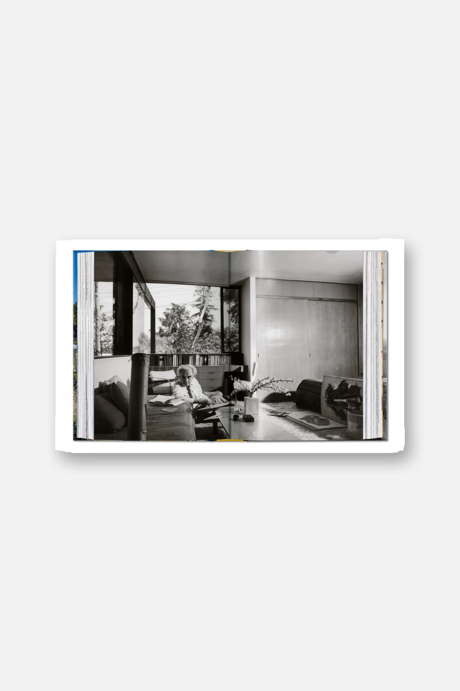 Neutra Book 45th Edition – alternate