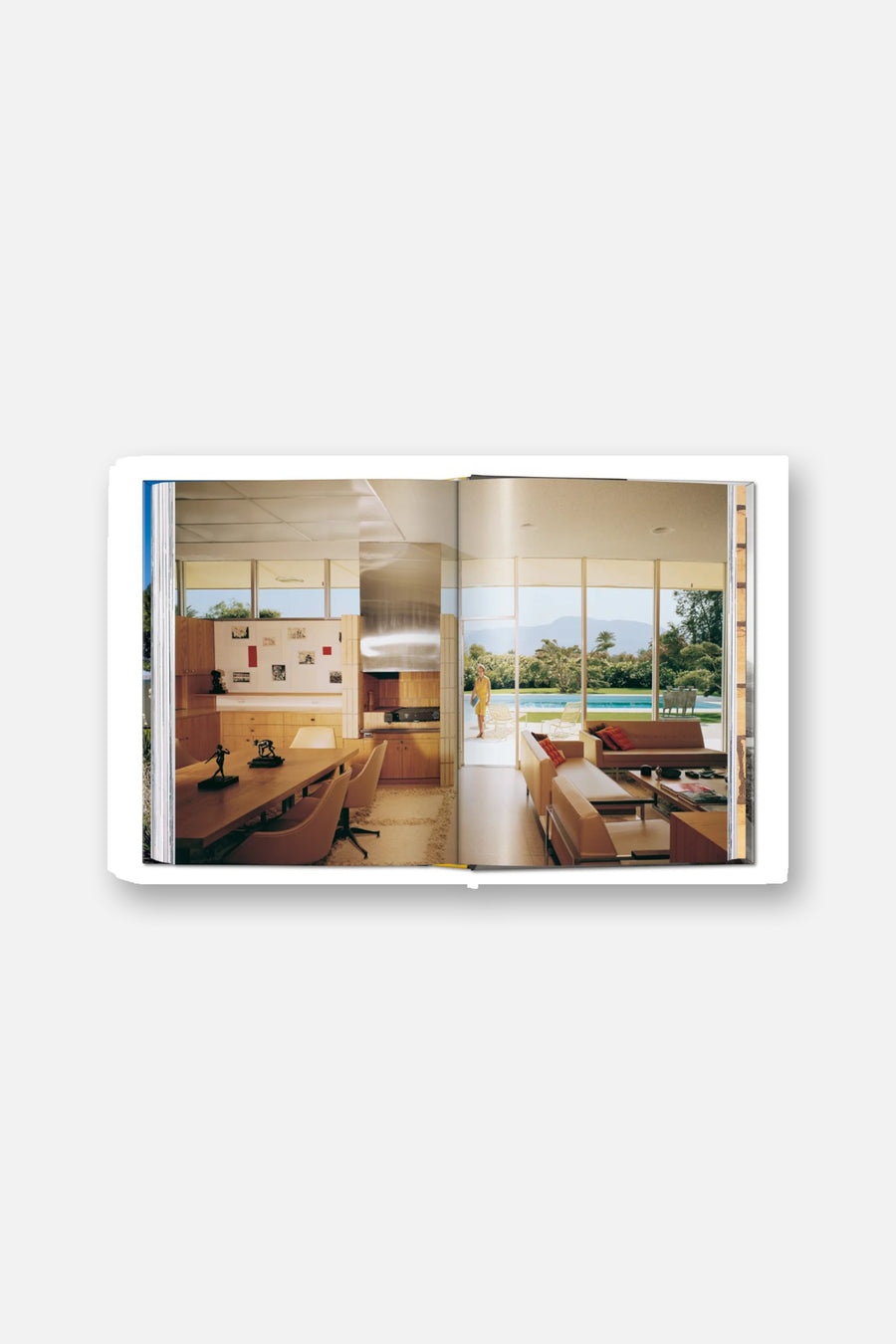 Neutra Book 45th Edition – alternate