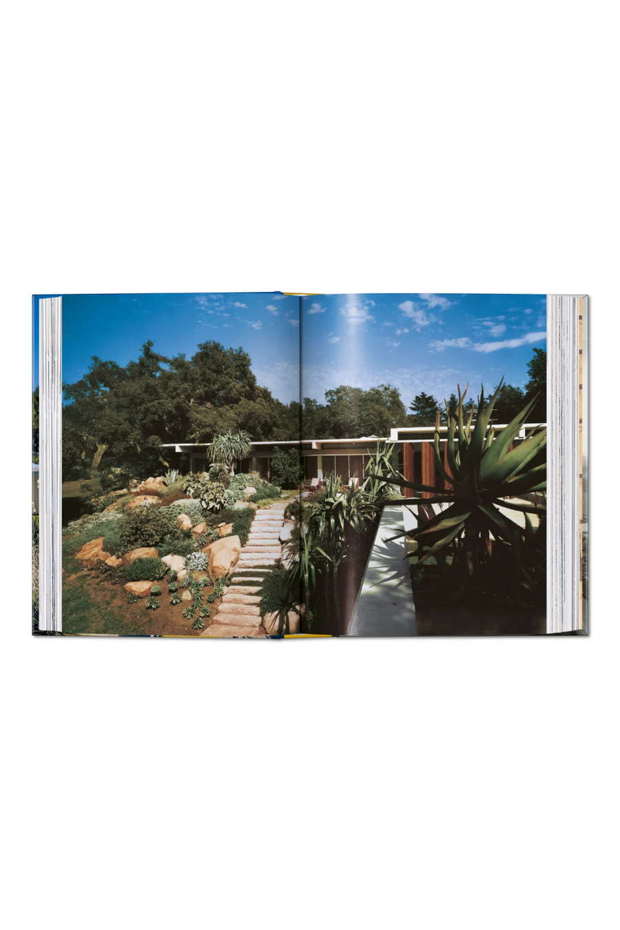 Neutra Book 45th Edition – alternate