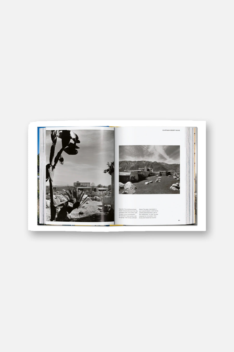 Neutra Book 45th Edition – alternate