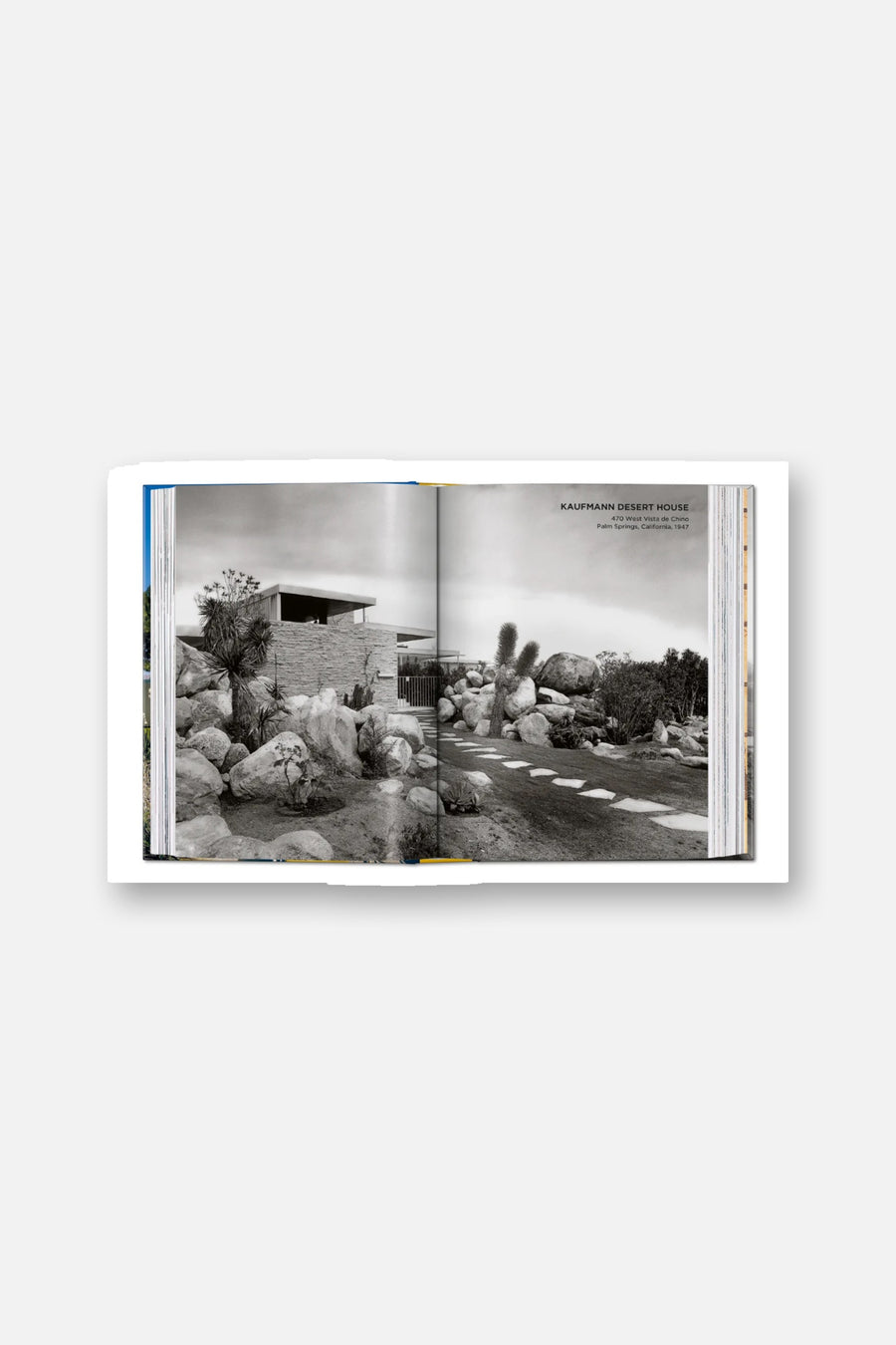 Neutra Book 45th Edition – alternate
