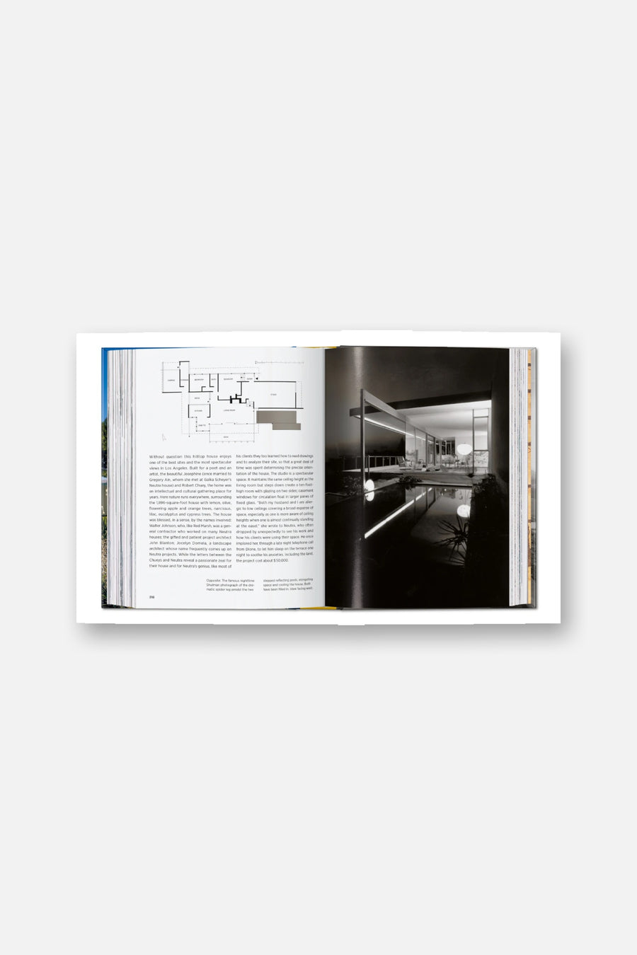 Neutra Book 45th Edition – alternate