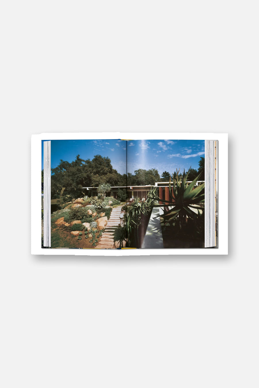 Neutra Book 45th Edition – alternate