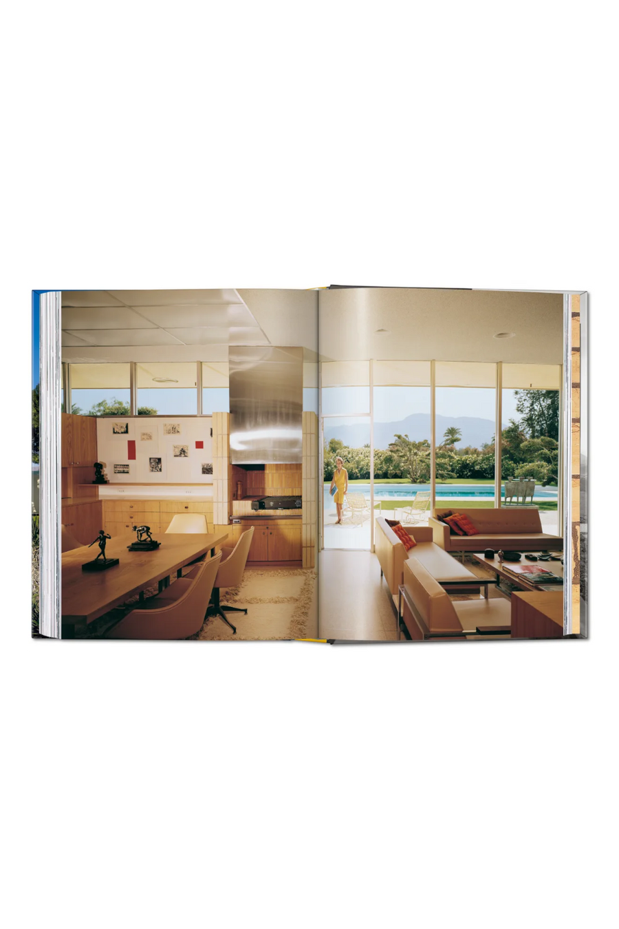 Neutra Book 45th Edition – alternate