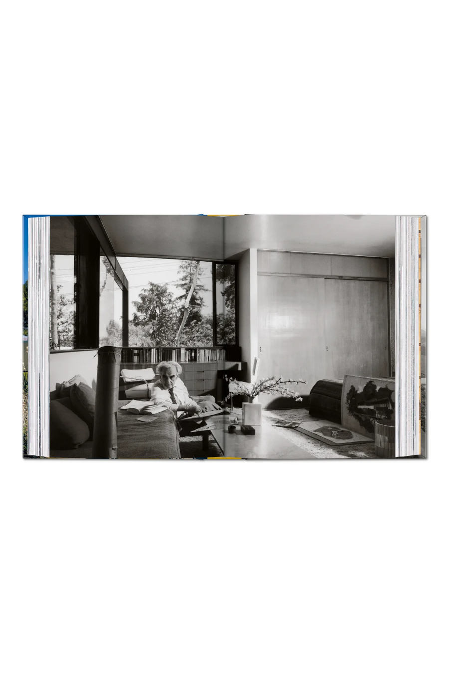 Neutra Book 45th Edition – alternate