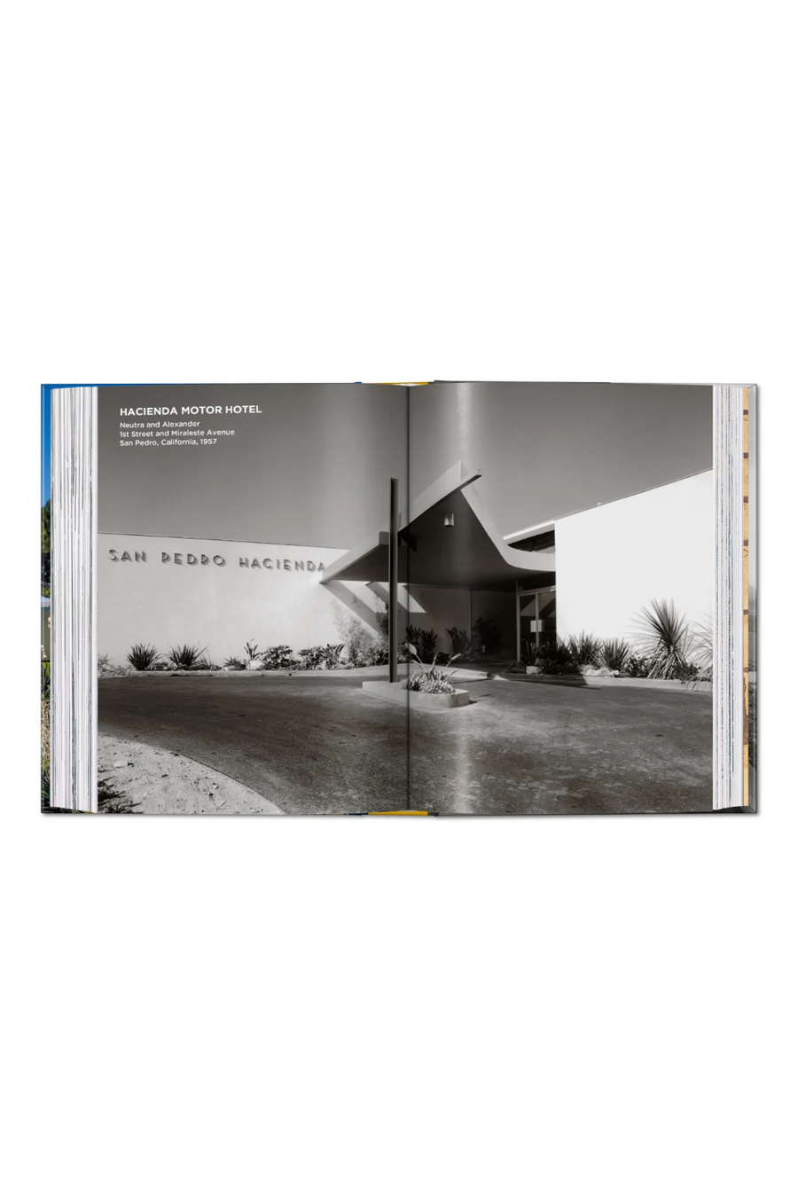 Neutra Book 45th Edition – alternate