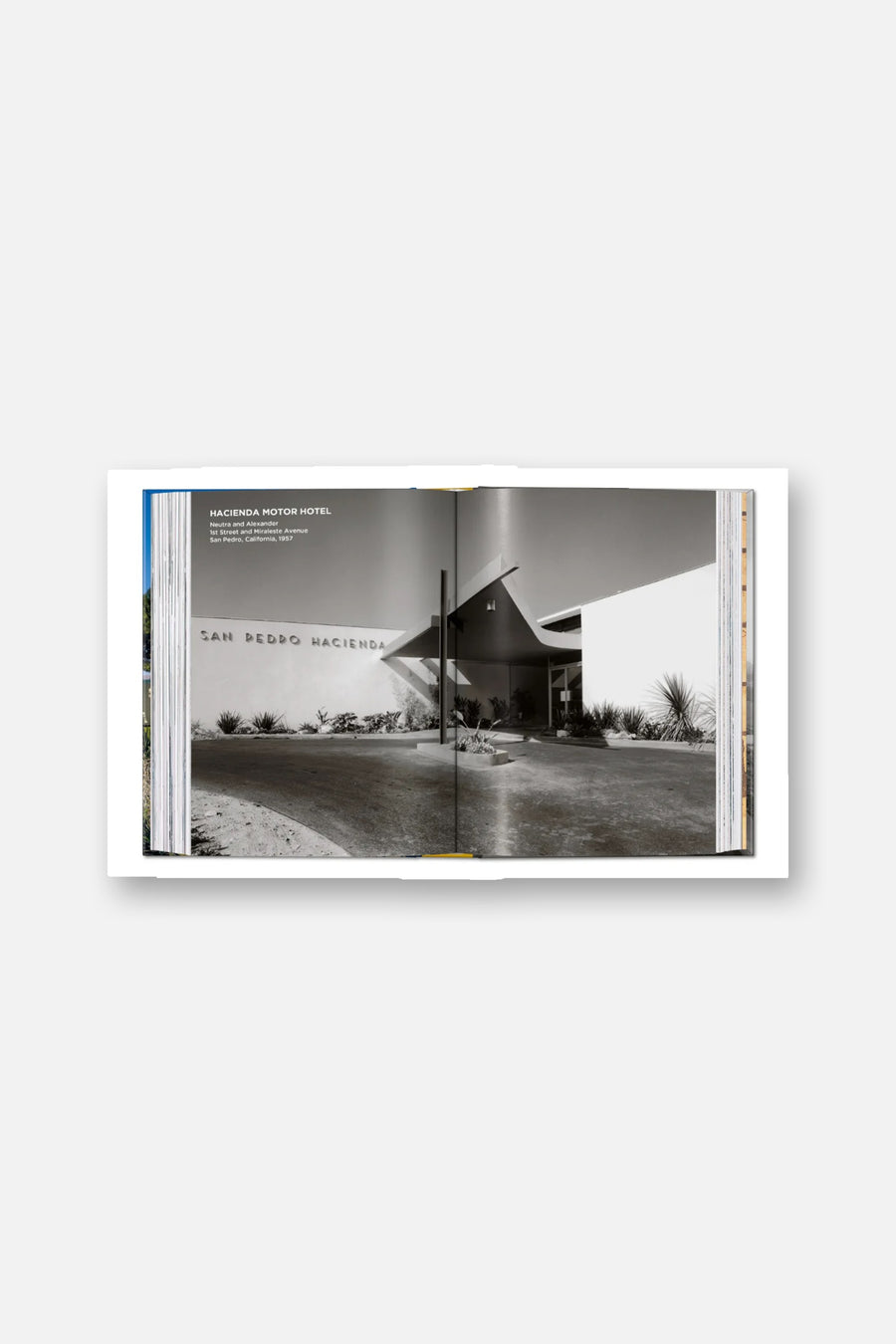 Neutra Book 45th Edition – alternate