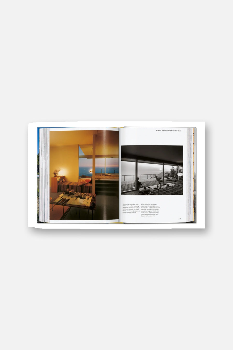 Neutra Book 45th Edition – alternate